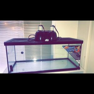 Turtle tank 20 gallons